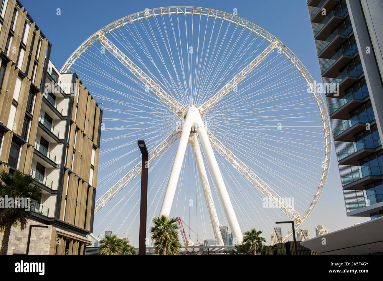 Schöne Aussicht von bluewaters Insel mit Ain Dubai's Welt höchste Beobachtung Riesenrad Stockfoto