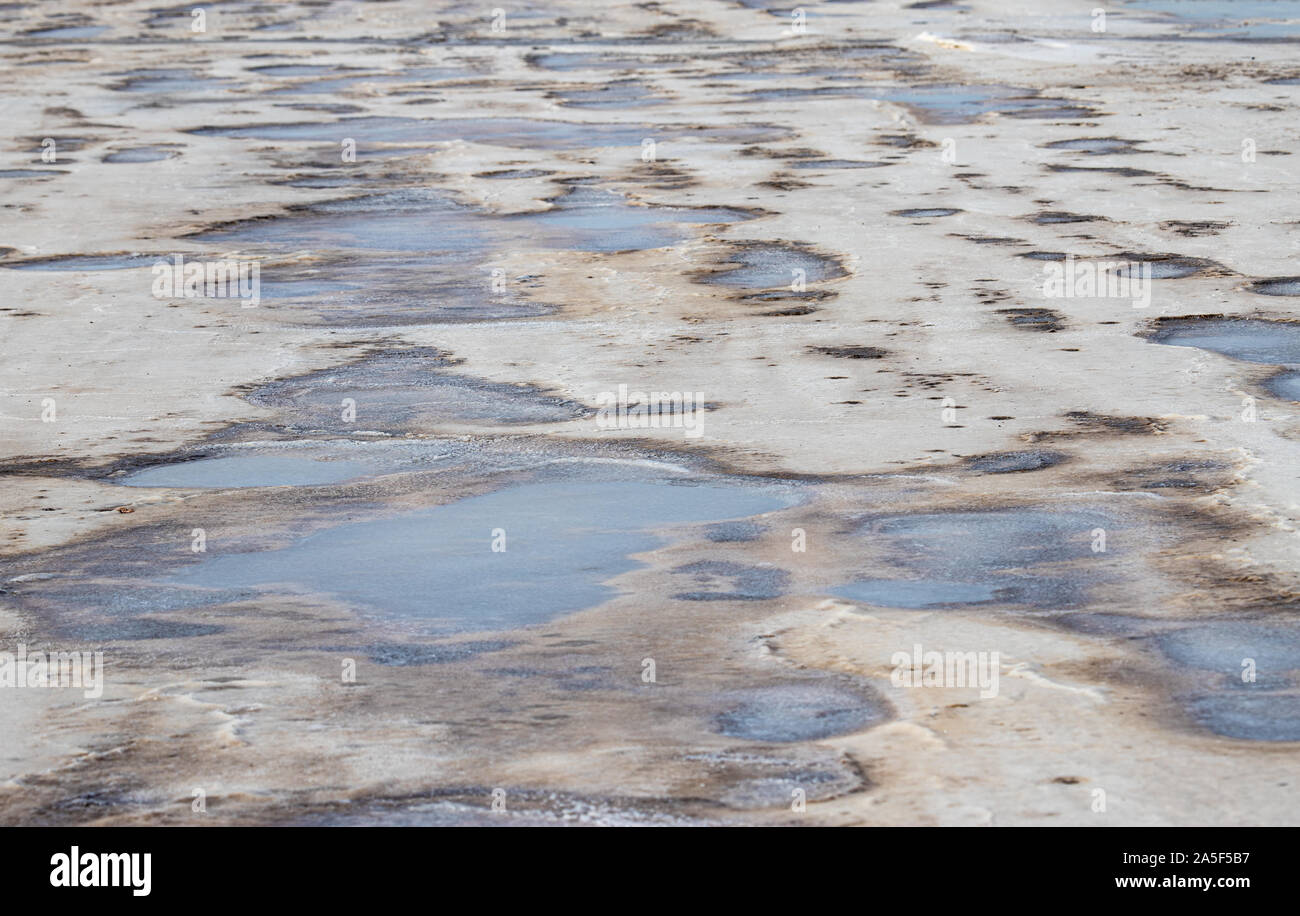 Trockenen salzhaltigen Boden mit Salz Flecken Stockfoto