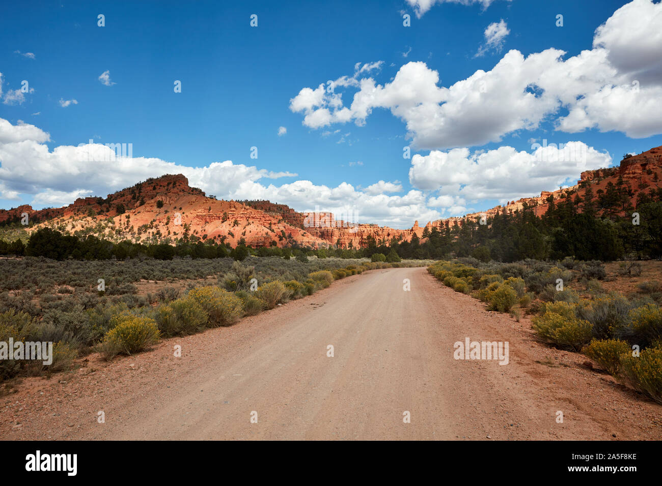 Dirt Road in der Nähe von losee Canyon, Utah Stockfoto