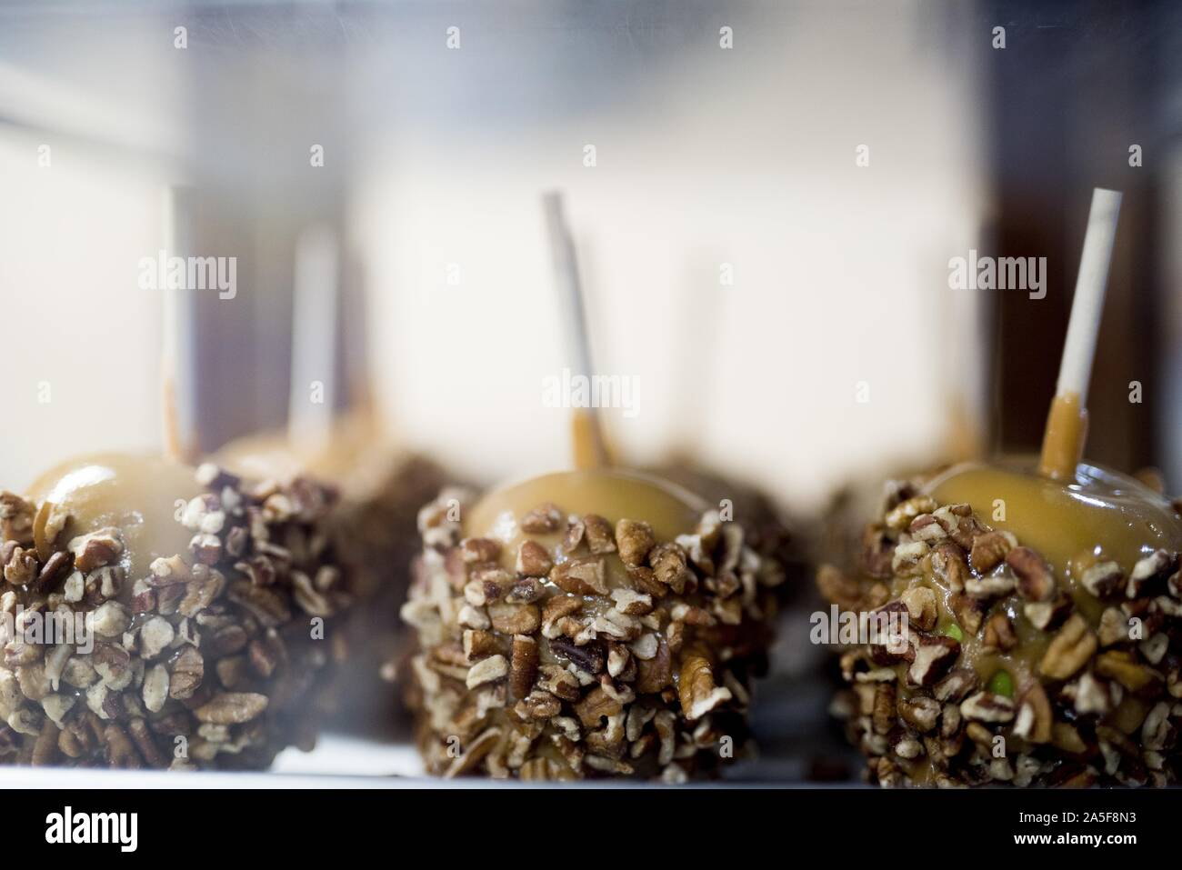 Nahaufnahme von Zuckeräpfeln in Walnüssen mit einem bedeckt Unscharfer Hintergrund Stockfoto