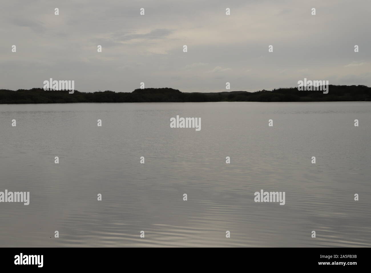 Einer der Seen bei "Het Zwanenwater" in Callantsoog, Niederlande. Ein Ort, wo Sie viele Vögel können vor Ort Stockfoto