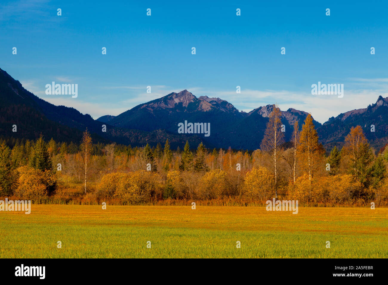 Tal mit Bergen und Bäumen im Vordergrund. Stockfoto