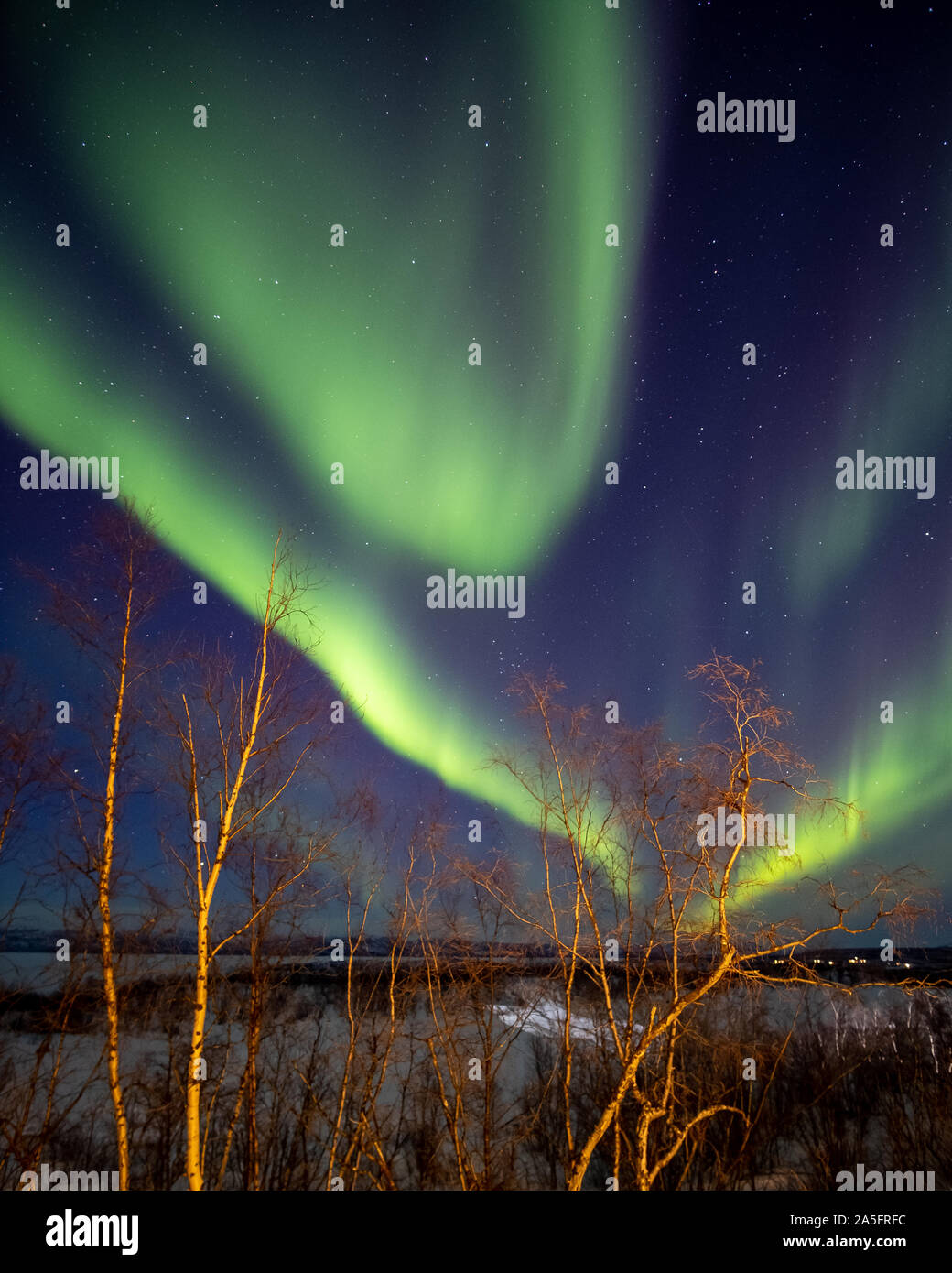 Nordlichter über die ländliche Landschaft, Abisko Nationalpark, Schwedisch Lappland, Kiruna, Schweden Stockfoto