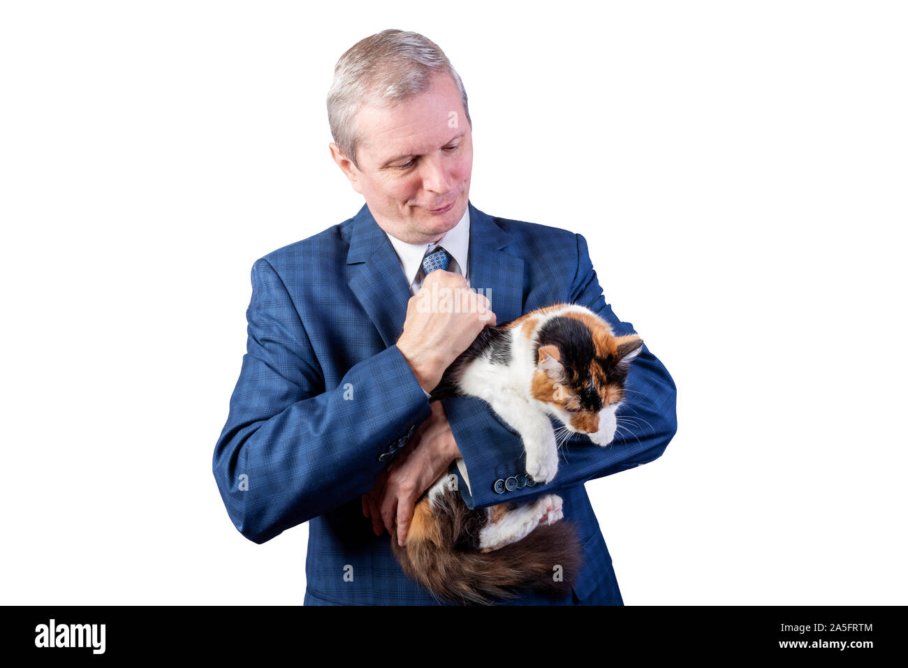 Ein älterer Mann im Anzug mit einem dreifarbige Katze. Auf einem weißen Hintergrund. Stockfoto