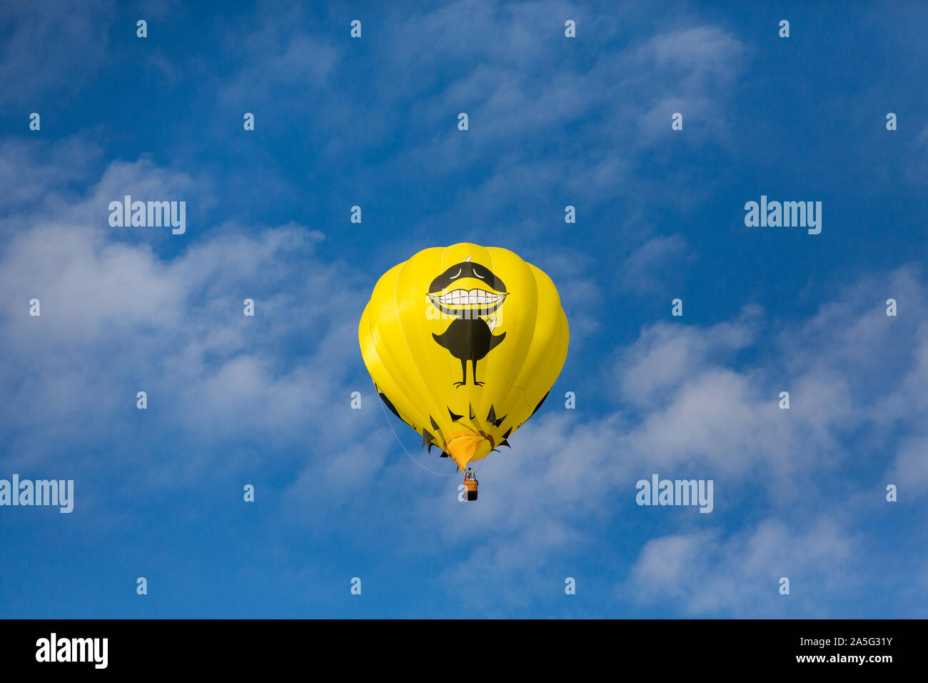 Großer schwarzer Vogel Ballon Stockfotografie - Alamy
