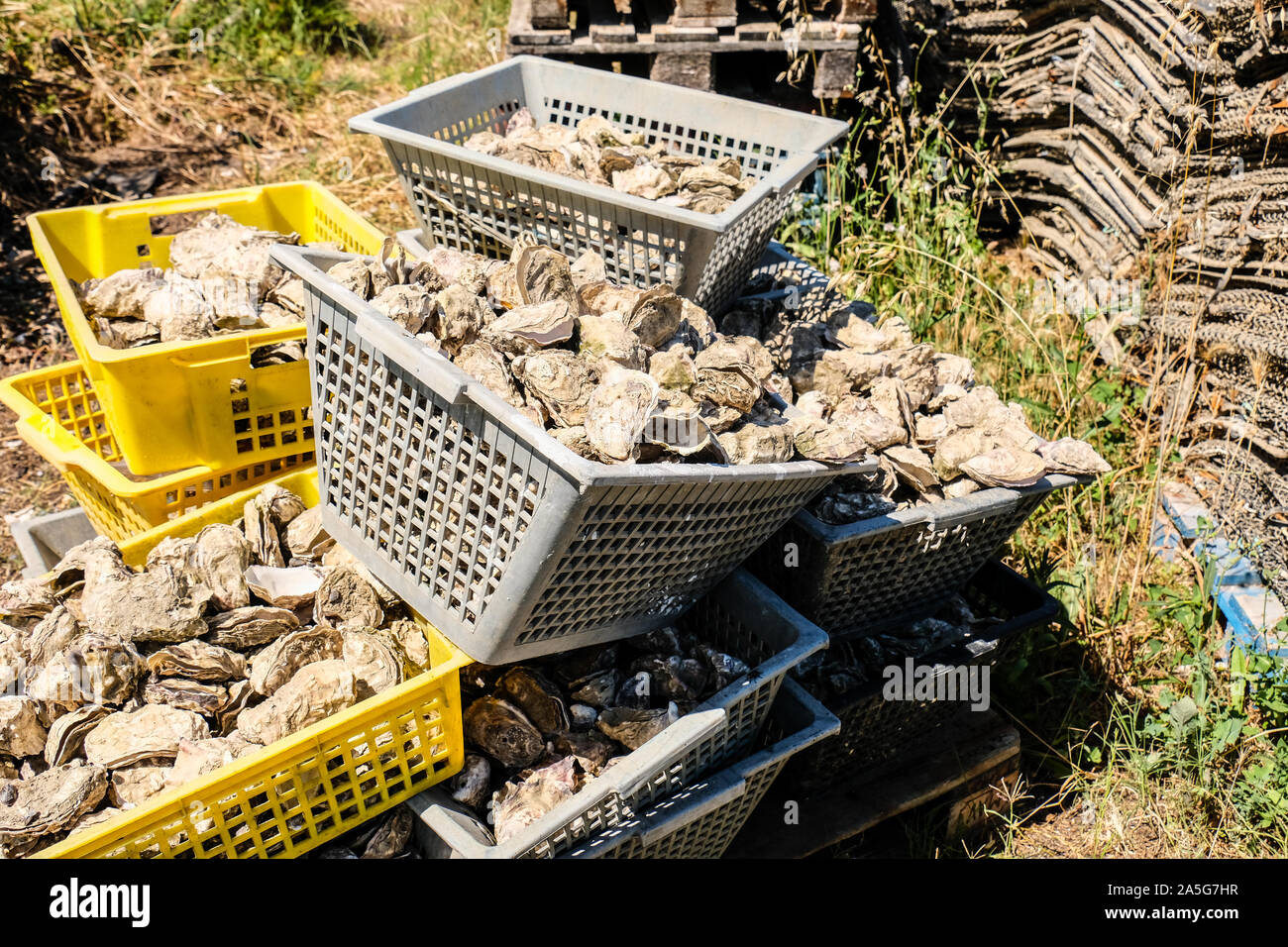 Französischen Küsten Fischerdorf L'Herbe von Atlantischen Ozean Stockfoto