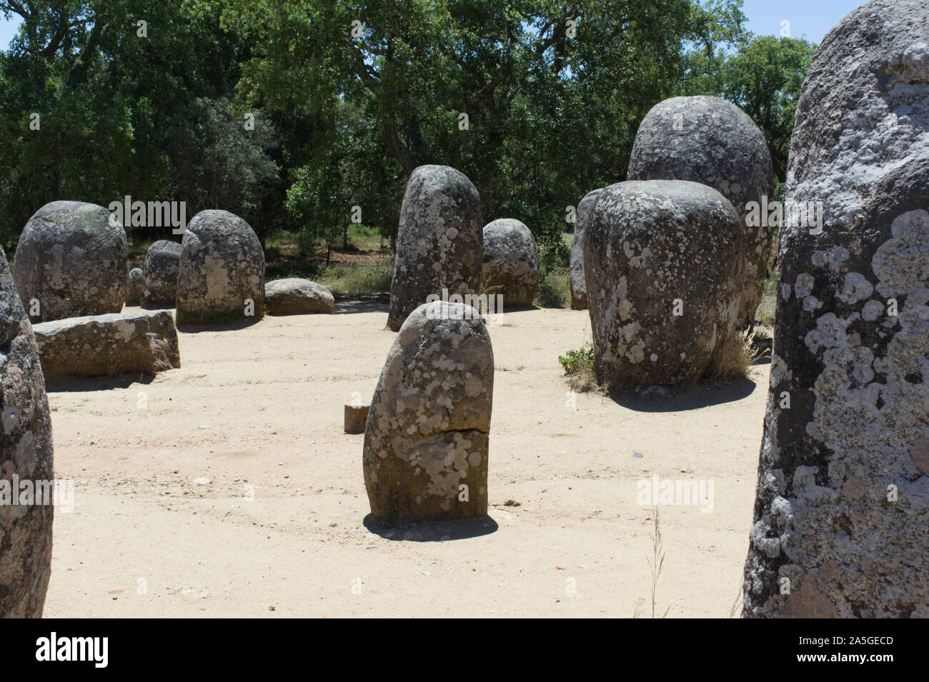 Megalitic Menhire, Almendres, Portugal Stockfoto