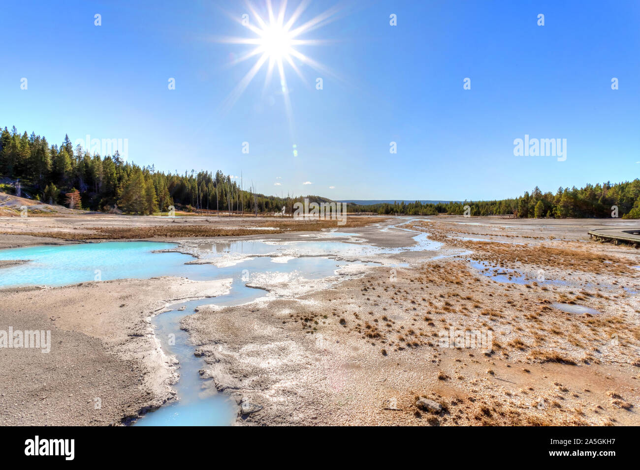 Sonne über der geothermischen Anlage von Porzellan Basin Trail bei Norris Geyser Basin im Yellowstone National Park, Wyoming, USA. Stockfoto