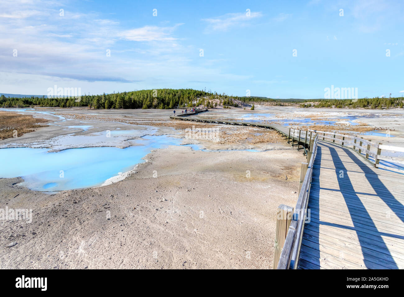 Geothermische Pools im Porzellan Waschbecken boardwalk Trail in Norris Geyser Basin des Yellowstone National Park, Wyoming, USA. Stockfoto