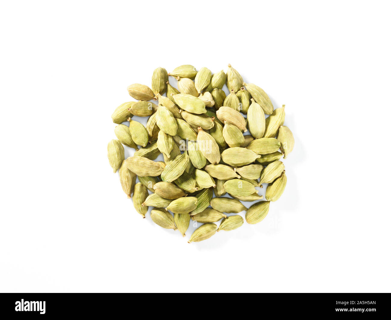 Handvoll Gewürz Grüner Kardamom (Elettaria cardamomum) auf weißem Hintergrund Stockfoto