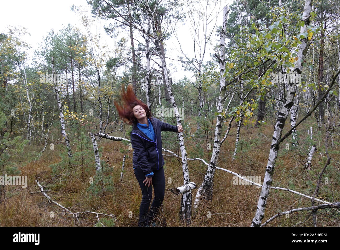 Frau Pilze sammeln im Wald Stockfoto