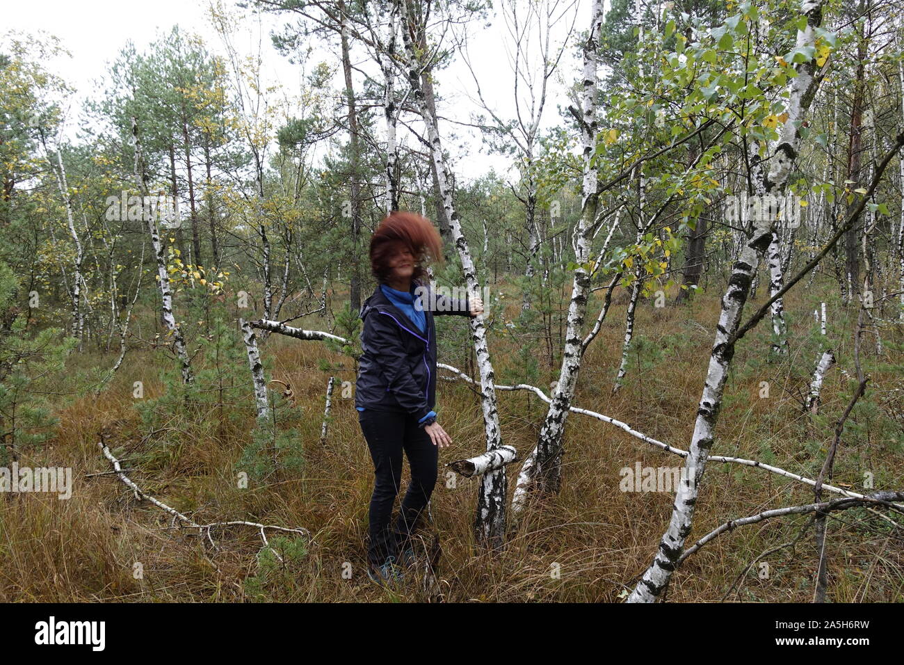 Frau Pilze sammeln im Wald Stockfoto