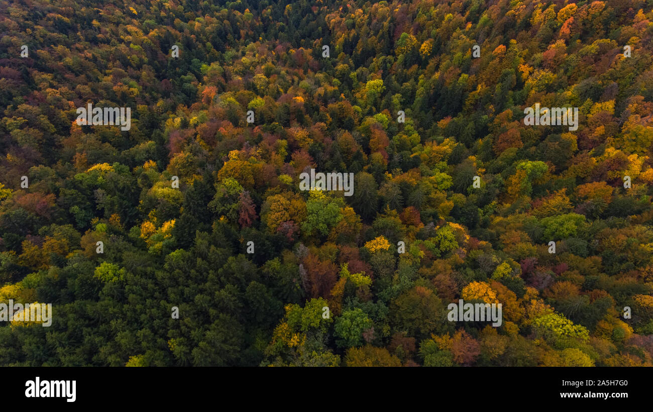 Drone Luftaufnahme eines alpinen Antenne nebligen Wald in den Schweizer französischen Jura. Die baumkronen ist eine Vielzahl von Farben des Herbstes. Stockfoto