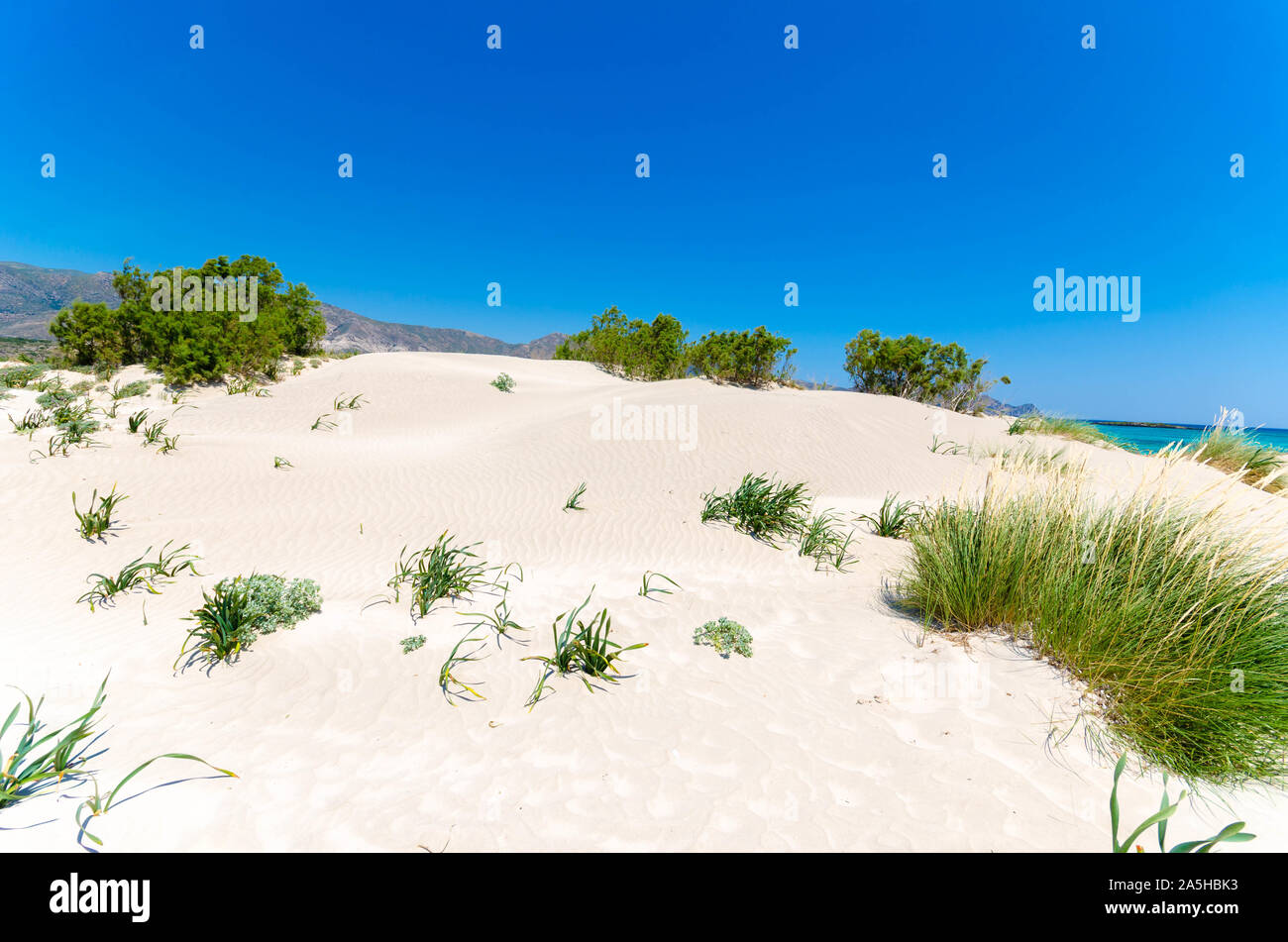 Elafonissi Strand, die erstaunliche Pink Beach auf Kreta, die mehrfach als einer der beeindruckendsten Strände nicht nur in Europa, sondern auch in gewählt worden ist Stockfoto
