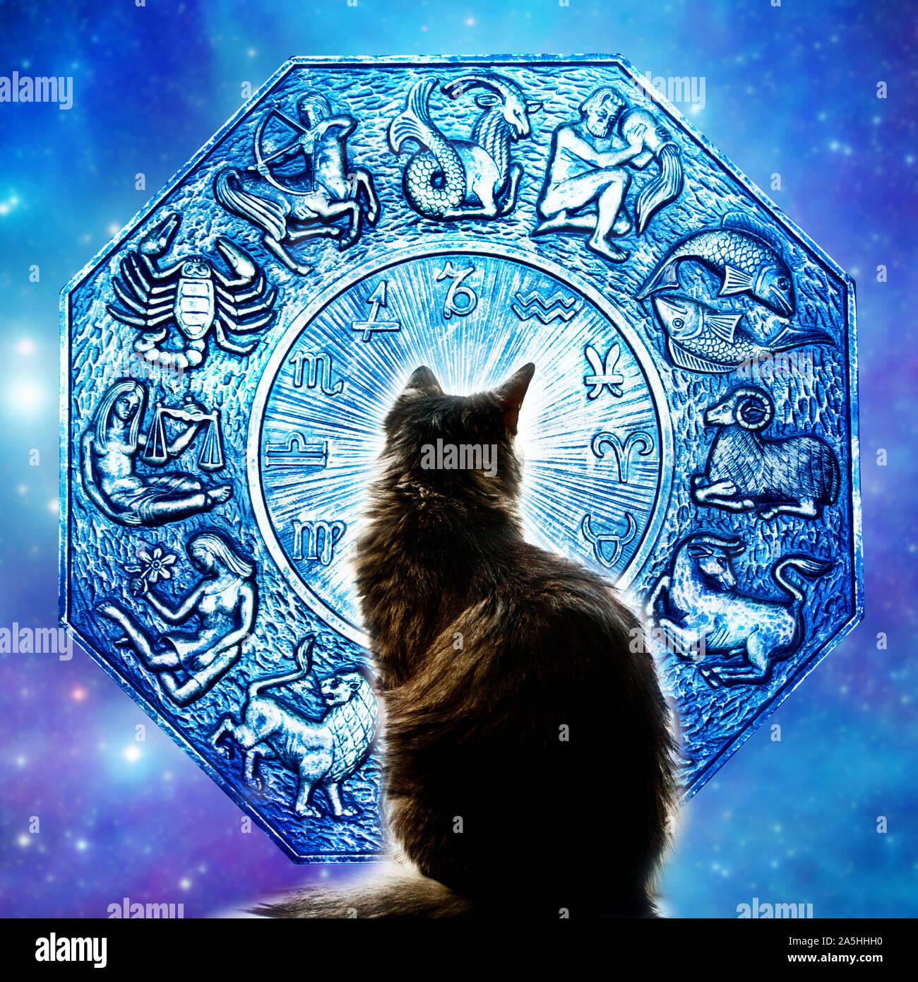 Astrologie Horoskop mit alle Tierkreiszeichen und Cat in der Mitte Stockfoto