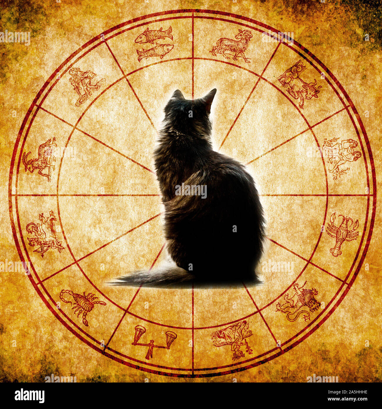 Astrologie Horoskop mit alle Tierkreiszeichen und Cat in der Mitte Stockfoto