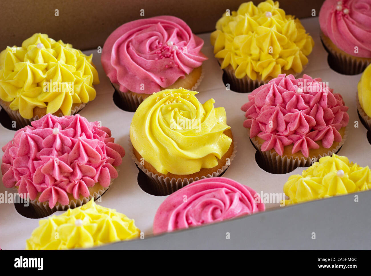 Leckere cupcakes im Karton. Stockfoto