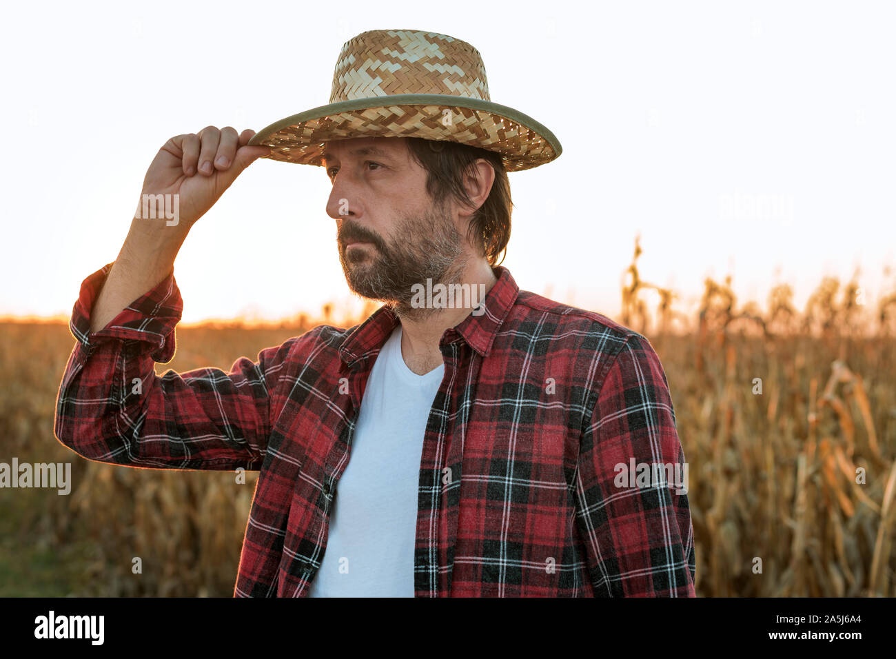 Nachdenklich betreffenden Mais Landwirt Agronom in Mais Ernte Feld posiert, besorgt über den Ertrag der Ernte Stockfoto