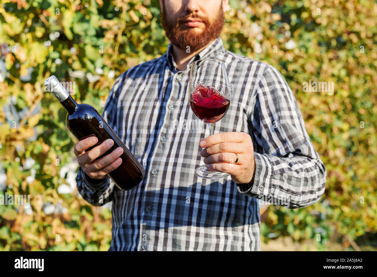 Portrait von stattlichen Winzer in seiner Hand Flasche und ein Glas Rotwein und Verkostung, Kontrolle Wein Qualität beim Stehen in der Weinberge Stockfoto