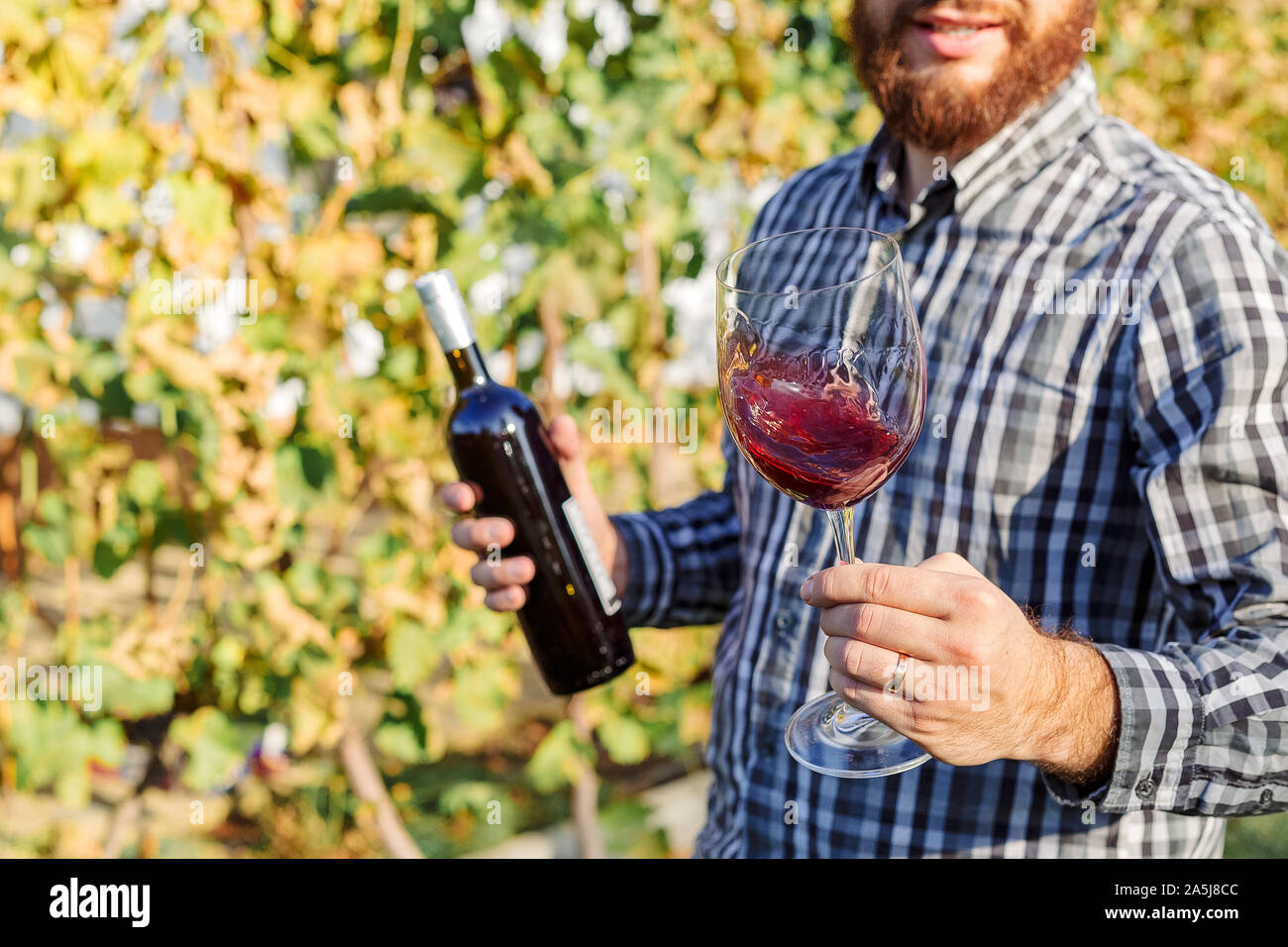 Portrait von stattlichen Winzer in seiner Hand Flasche und ein Glas Rotwein und Verkostung, Kontrolle Wein Qualität beim Stehen in der Weinberge Stockfoto