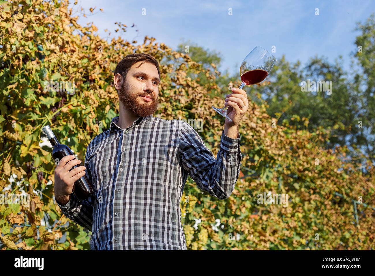Portrait von stattlichen Winzer in seiner Hand Flasche und ein Glas Rotwein und Verkostung, Kontrolle Wein Qualität beim Stehen in der Weinberge Stockfoto