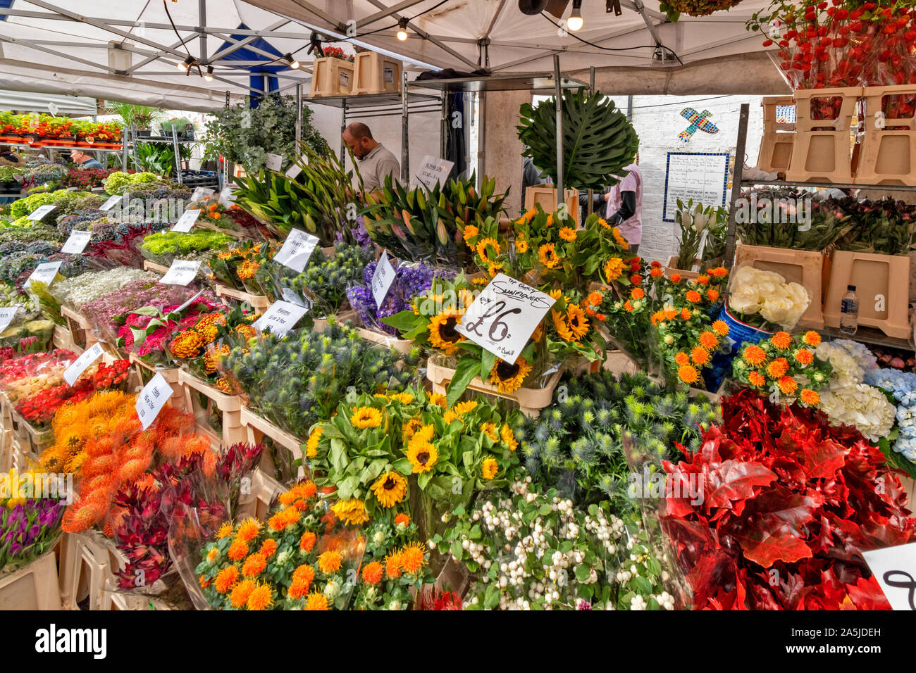 LONDON COLUMBIA ROAD BLUMENMARKT UND ANLAGE STÄNDE hervorragende Auswahl an Blumen für den Verkauf Stockfoto