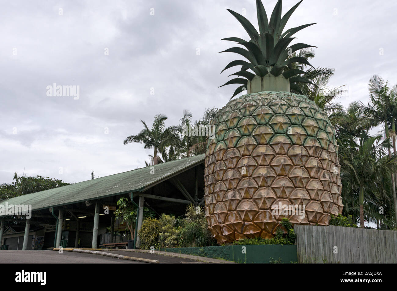Die grosse Ananas, wie Sonnenschein Plantage bekannt, ist eine denkmalgeschützte touristische Attraktion bei Nambour Verbindung Straße bei woombye an der Sunshine Coast i Stockfoto