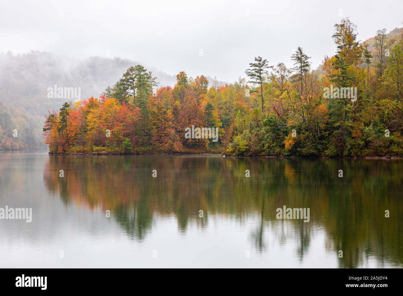 Herbstfarben auf Anzeige in diesen Morgen Fotos in Central Appalachia, USA. Stockfoto