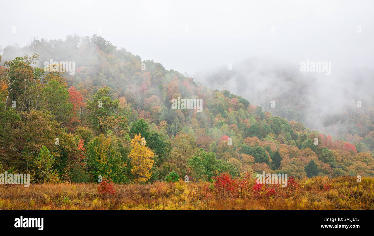 Herbstfarben auf Anzeige in diesen Morgen Fotos in Central Appalachia, USA. Stockfoto