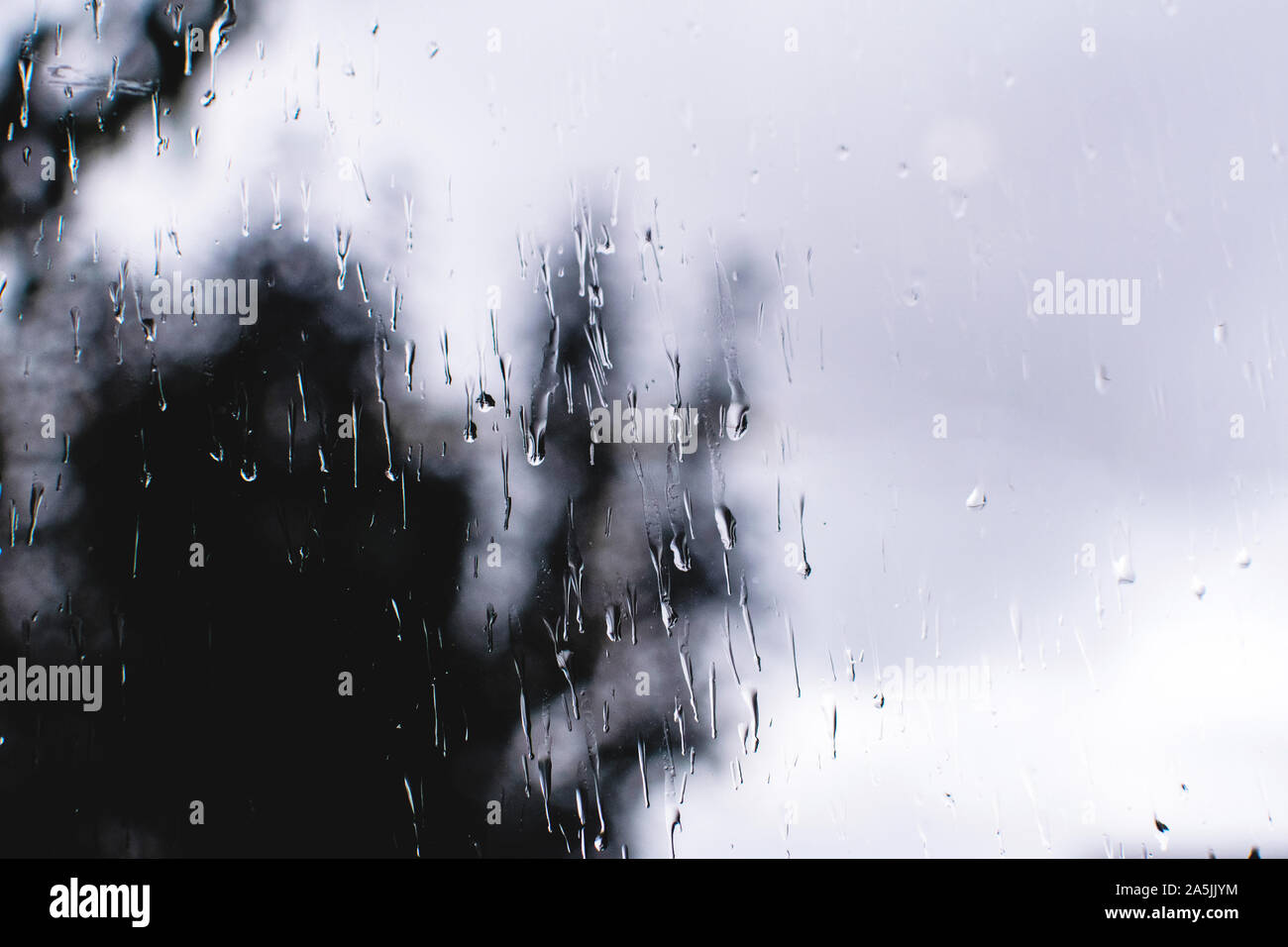 Regentropfen auf dem Glas mit verschwommenem Baum im Hintergrund. Stockfoto