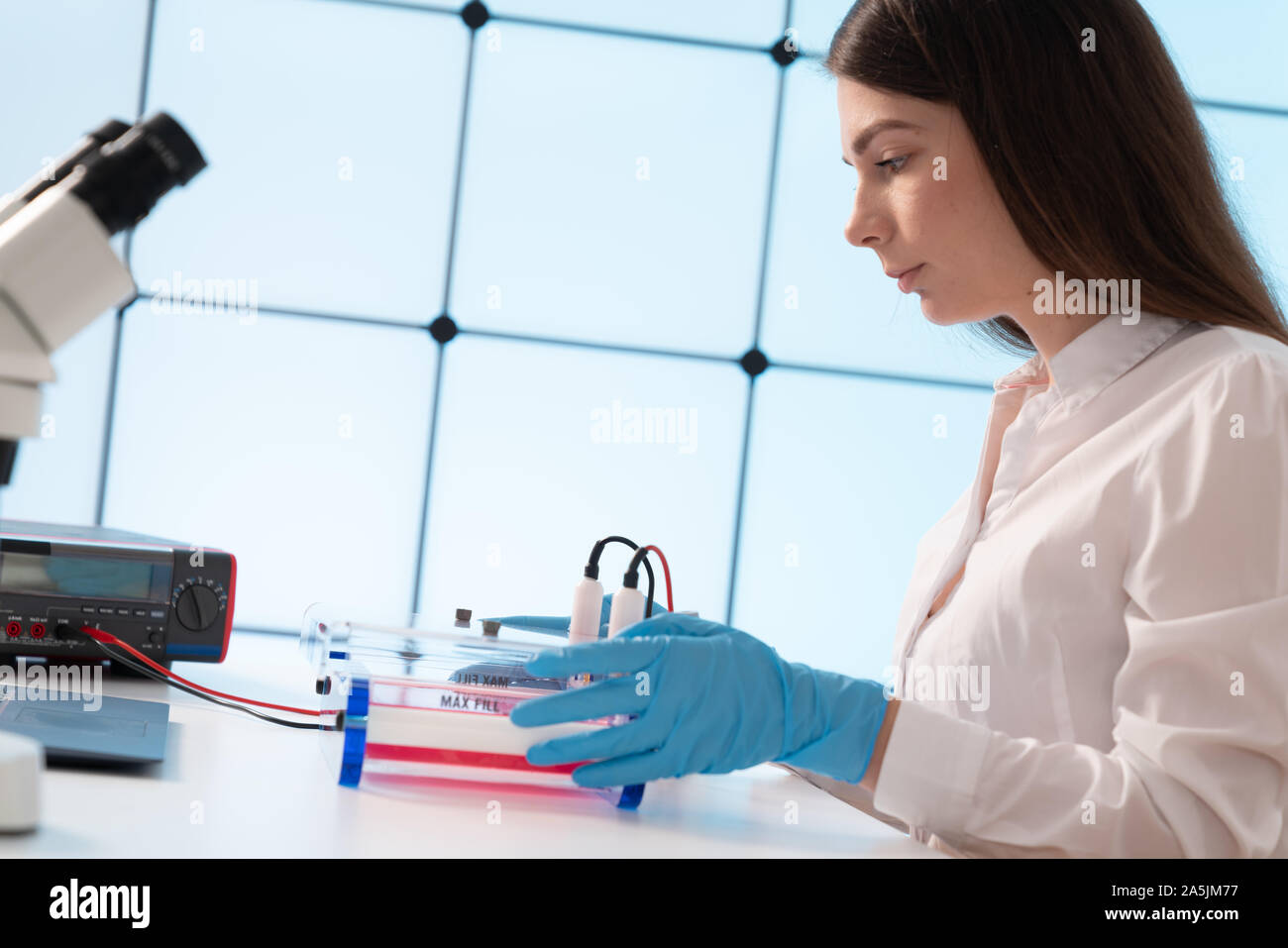 Laden von Samples und läuft einem Agarosegel für Elektrophorese Gelelektrophorese ist der Standard lab Verfahren zur Trennung von DNA Stockfoto