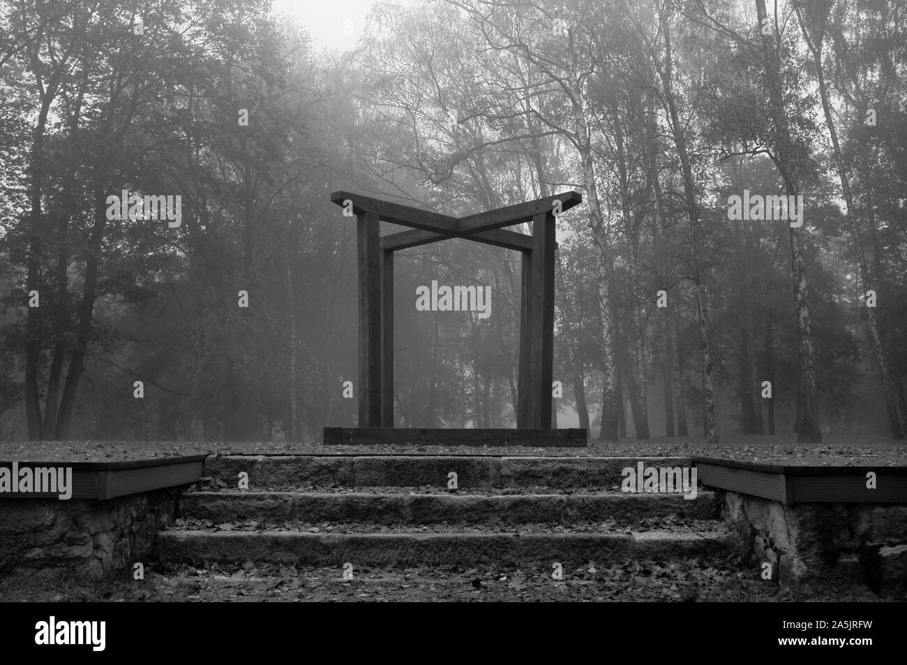 Herbst, Moody, Jahreszeit,, Nebel, Park, Reisen, Stockfoto