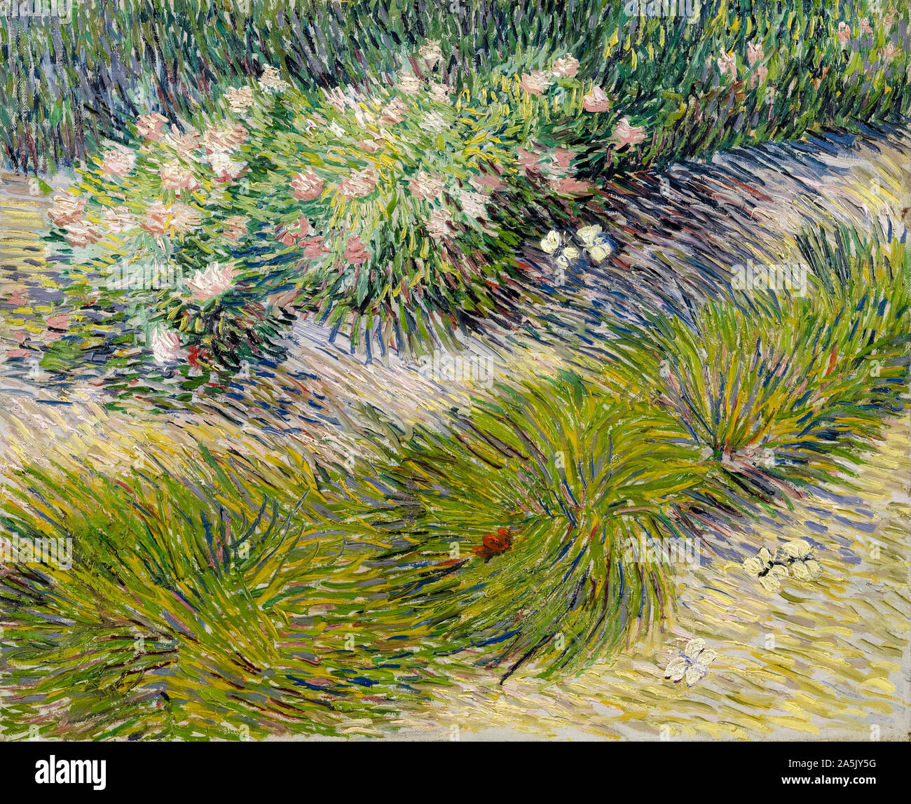Vincent van Gogh, das Gras und die Schmetterlinge, Malerei, 1887 Stockfoto