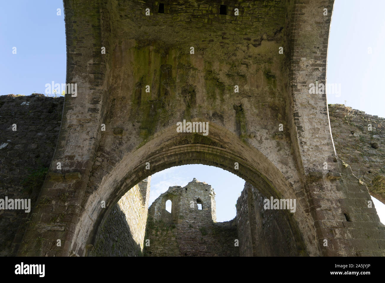 Blick auf die Ruinen des ehemaligen Dunbrody Abtei in der Grafschaft Wexford in Irland. Stockfoto Blick auf die Ruinen des ehemaligen Dunbrody Abtei in der Grafschaft Wexford in Irland. Stockfoto