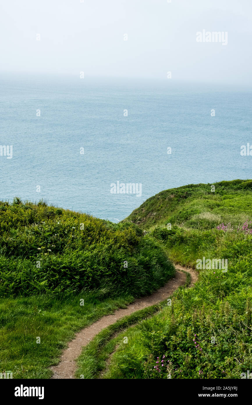 Blick entlang der Wanderweg auf einer Klippe an der Küste von Pembrokeshire, Wales, UK. Stockfoto