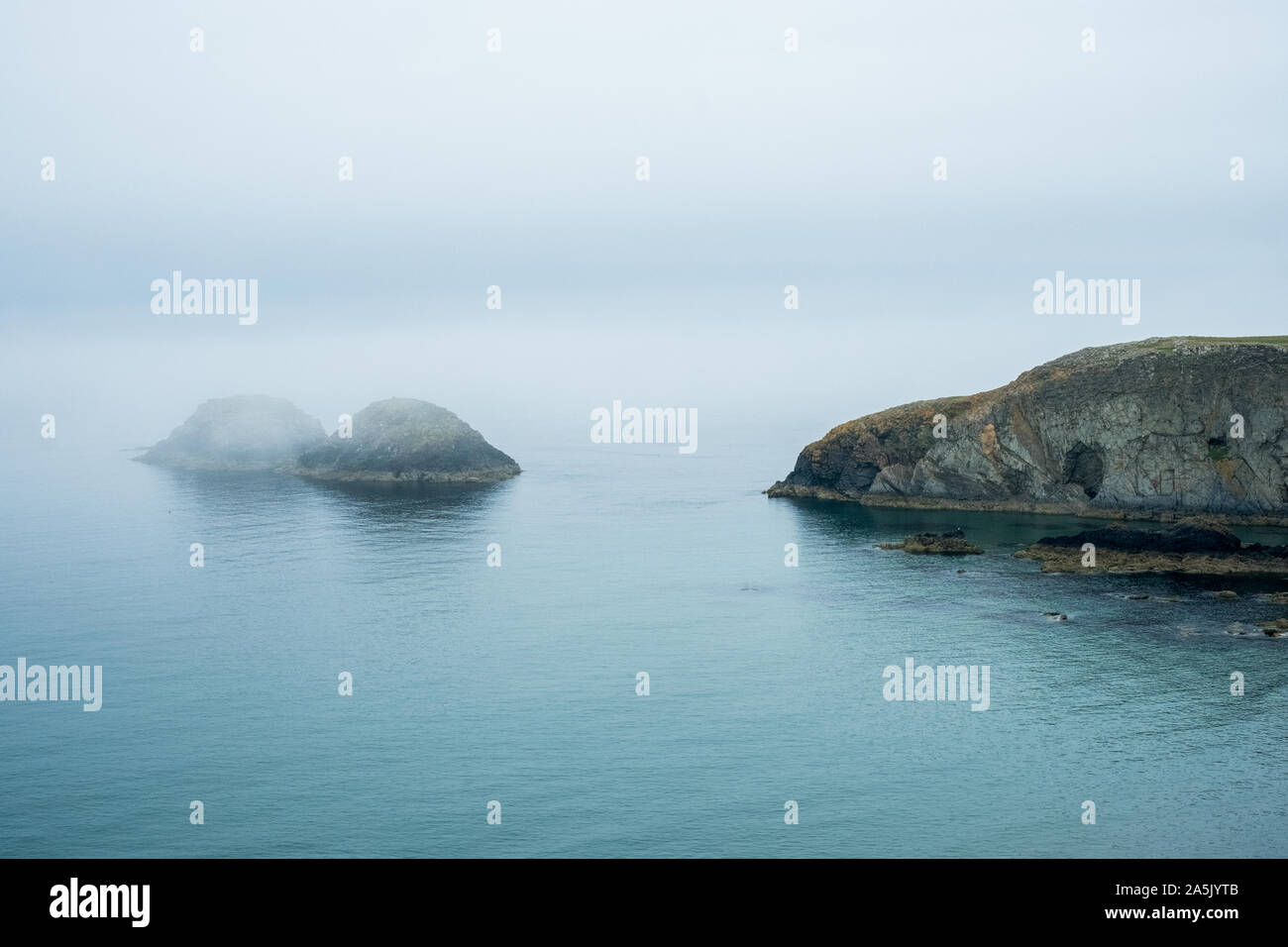 Blick entlang der Küste von Pembrokeshire, Wales, Großbritannien auf einem nebligen Tag. Stockfoto