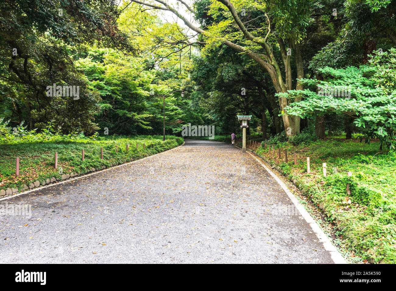 Der Park um den Meiji Schrein in Shibuya, Tokio Stockfoto