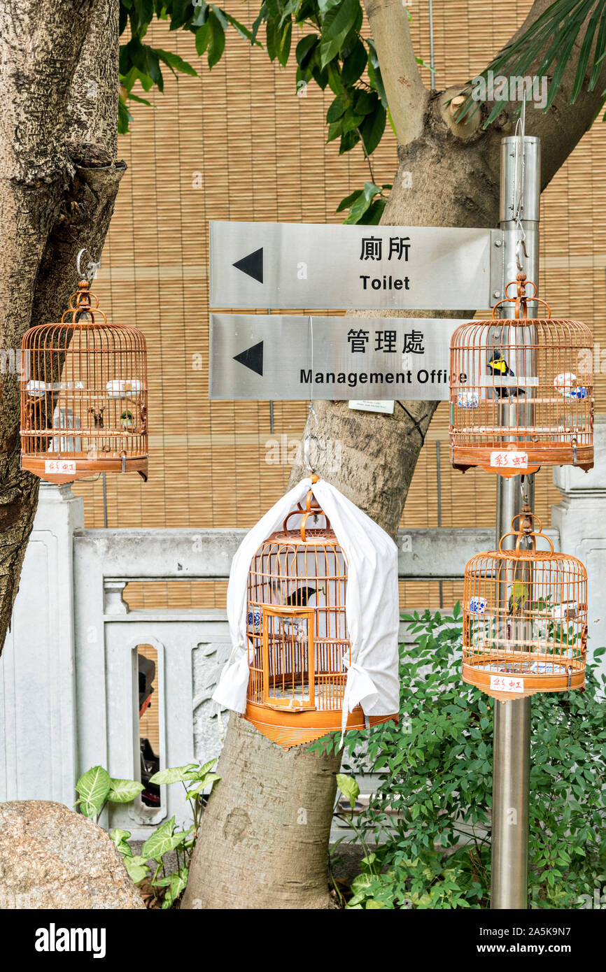 Exotische Vögel in Bambus Käfige hand von Bäumen an der Yuen Po Street Bird Garden, Mong Kok, Kowloon, Hong Kong. Stockfoto