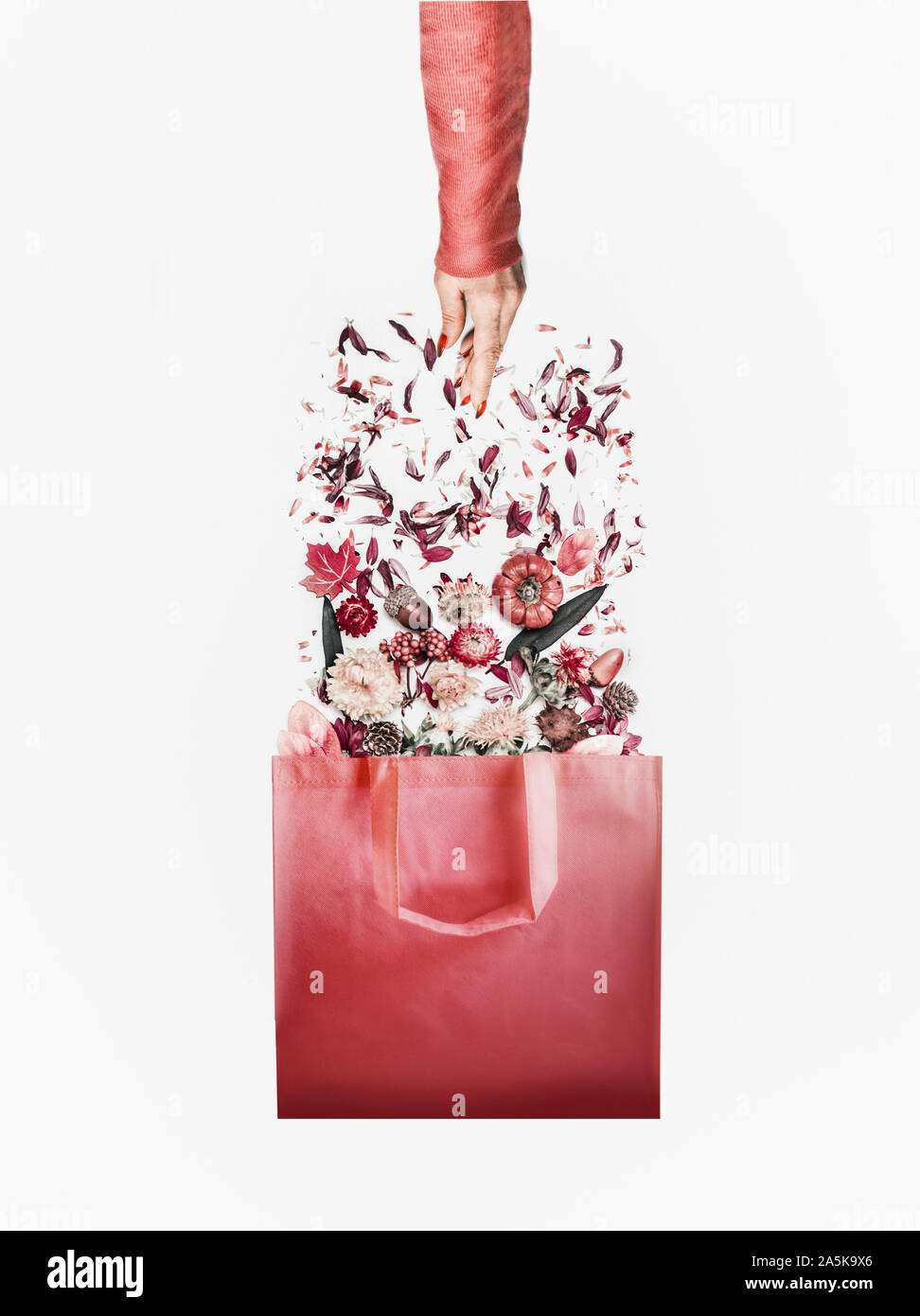 Herbst minimalen Begriff. Einkaufstasche mit Herbst Blumen und Herbstlaub Anordnung und weibliche Hand in roten Pullover auf weißem Hintergrund. Kreative la Stockfoto