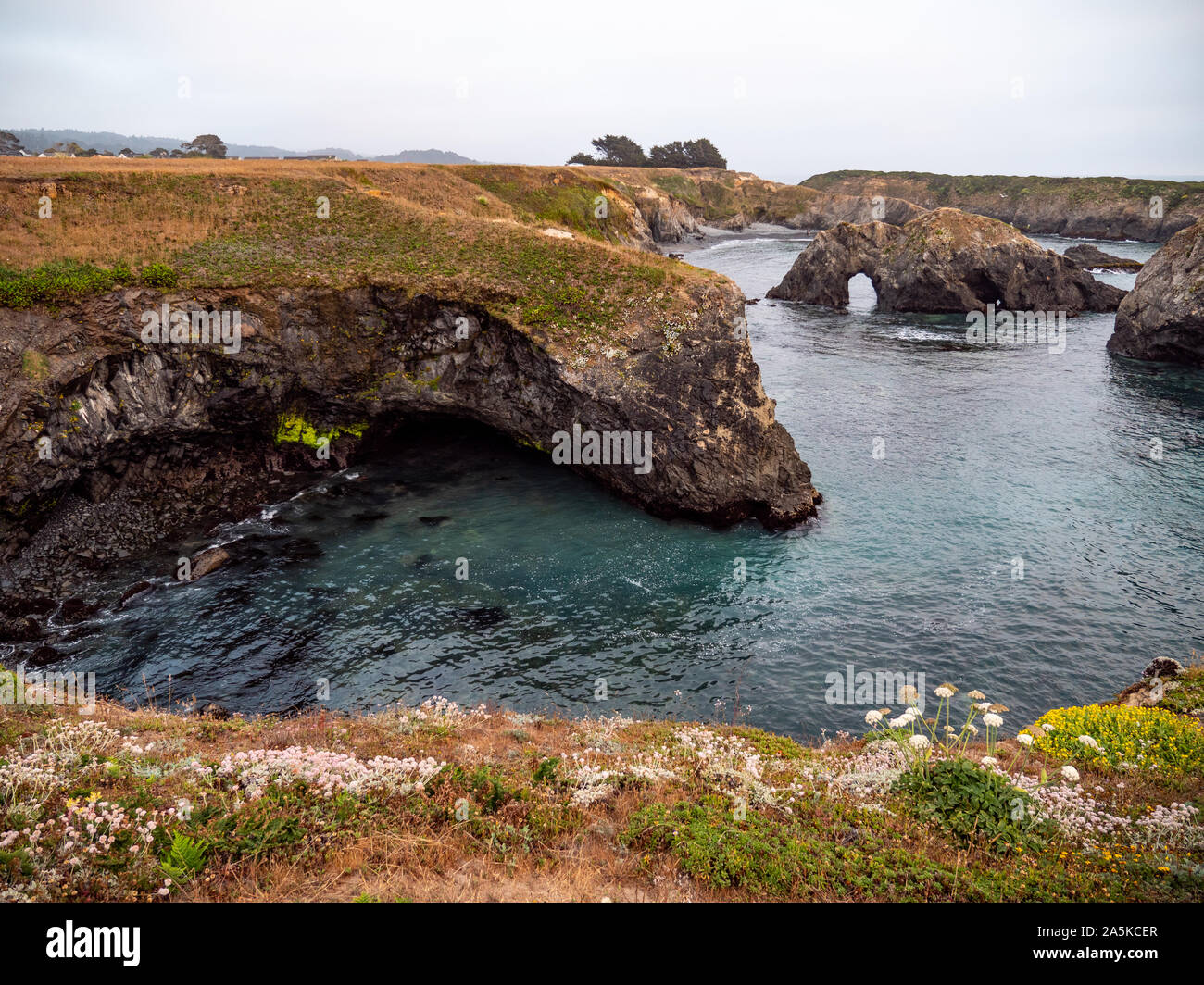 Mendocino Headlands und Blue Ocean Stockfoto