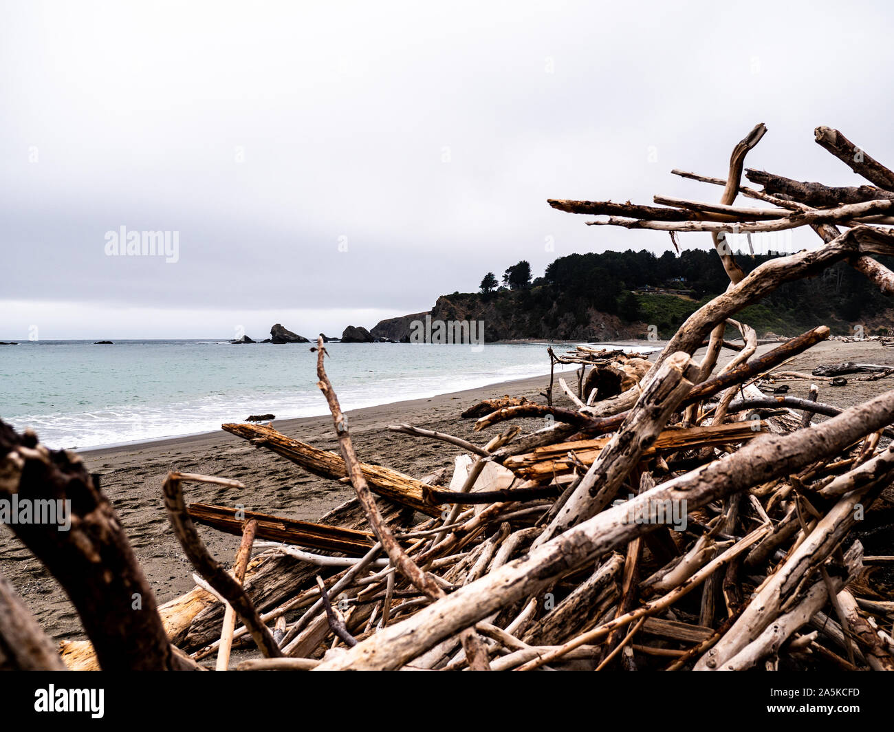 Zerstreut Treibholz am Strand mit Blick auf das Meer im Hintergrund Stockfoto
