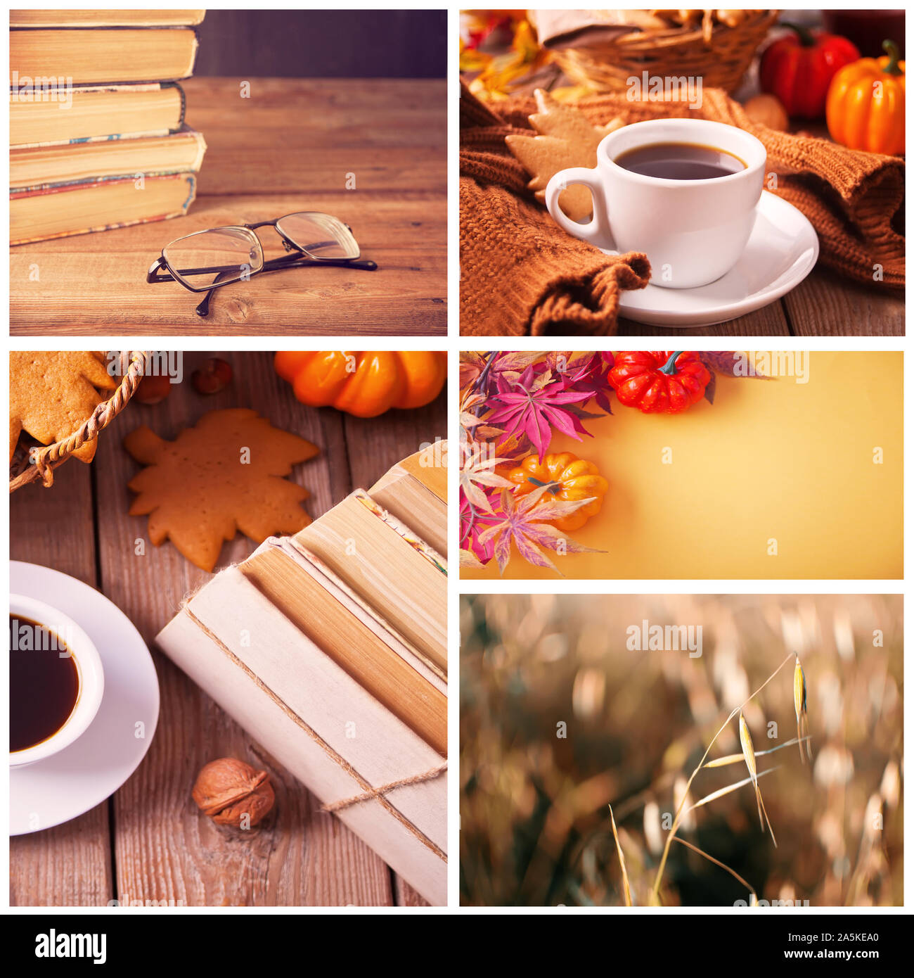 Herbst Collage von fünf Fotos. Heißen Tee, alte Bücher, Kürbis. Warm und gemütlich Stockfoto