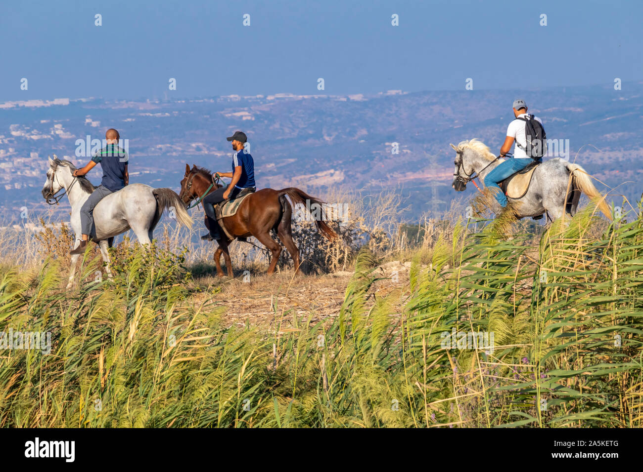 Reiten mit meinen Freunden in die Berge von Galiläa (Foto wurde im Norden Israels übernommen) Stockfoto