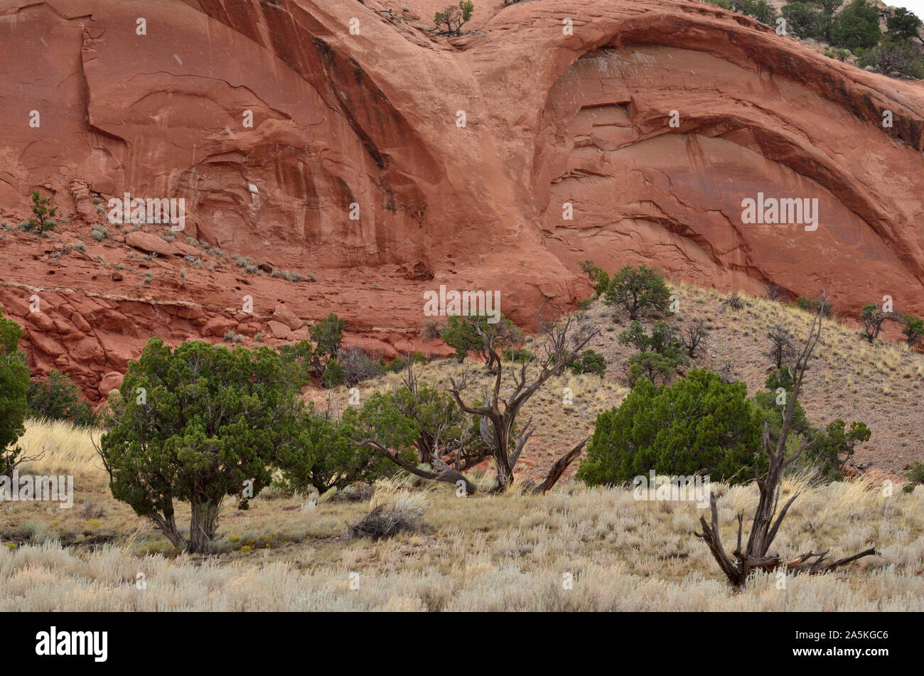 Owl's Augen, rote Sandstein Tecolote (Owl) Mesa, 11. Jahrhundert kleine Ausreißer, Casamero Chacoan Pueblo, McKinley County, NM 190908 75173 Stockfoto