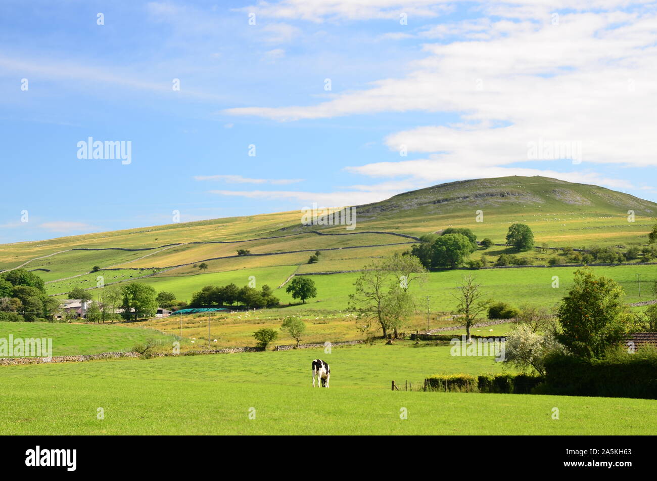 Great Asby Narbe 3, Eden Valley Cumbria Stockfoto