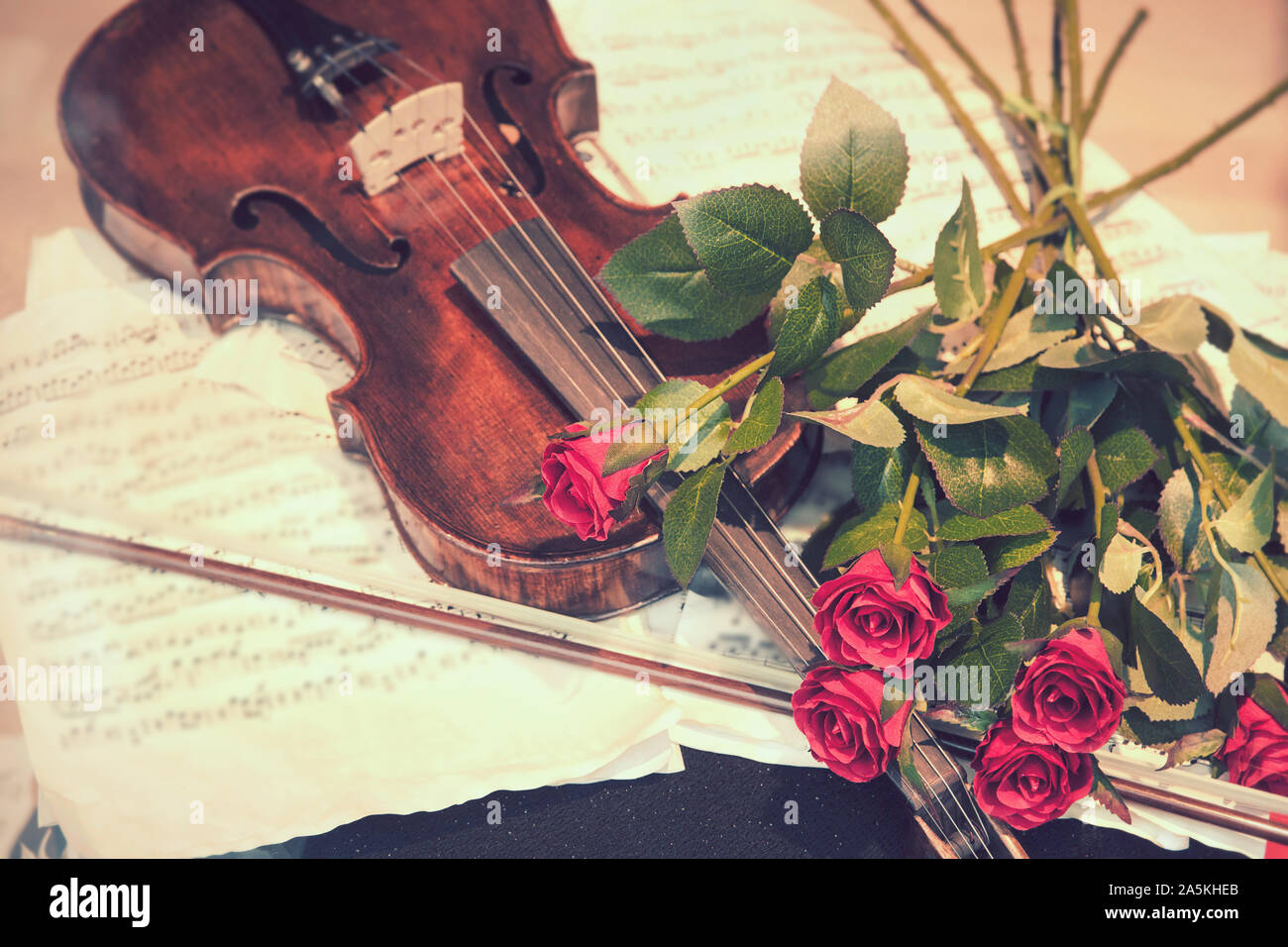 Violine mit roten Rosen, Musikinstrument string mit rotem Blumenstrauß und Blätter Musik (vintage Filter Effekt) Stockfoto