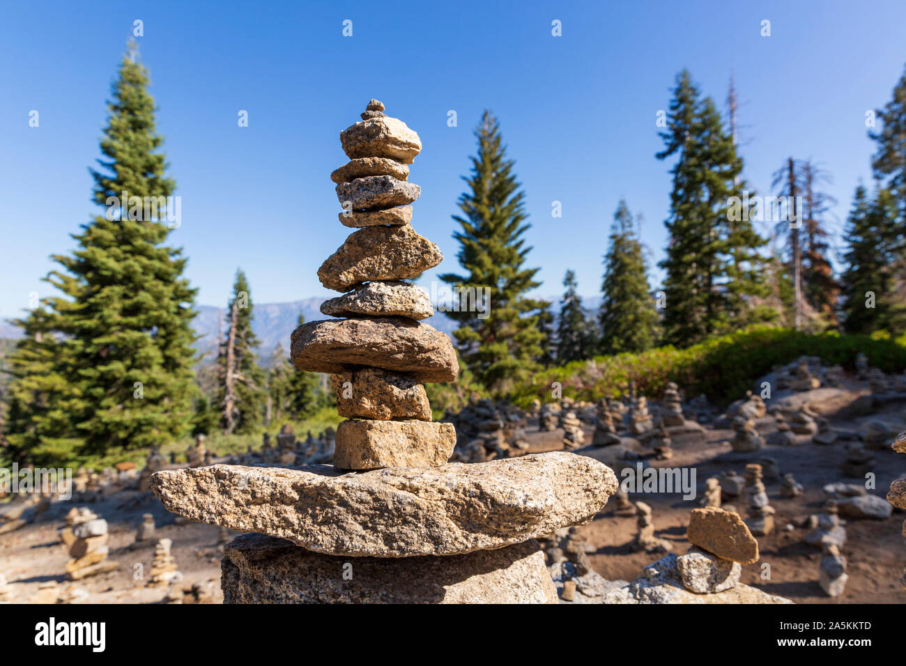 Nahaufnahme von gestapelten Steinen mit Kiefern hinter im Sequoia National Park, Kalifornien, USA Stockfoto