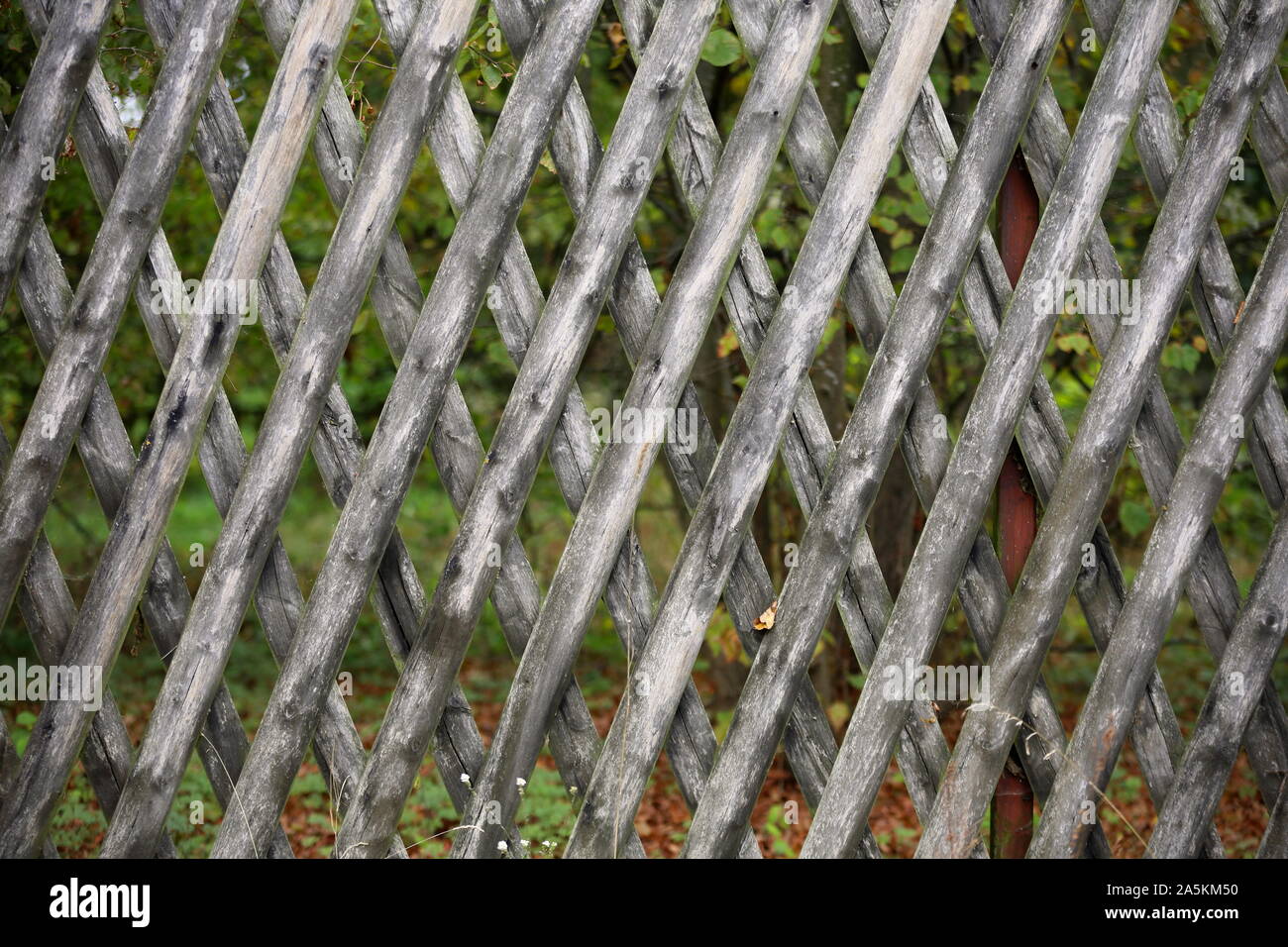 Holzzaun, Hintergrund, gekreuzt Boards Stockfoto
