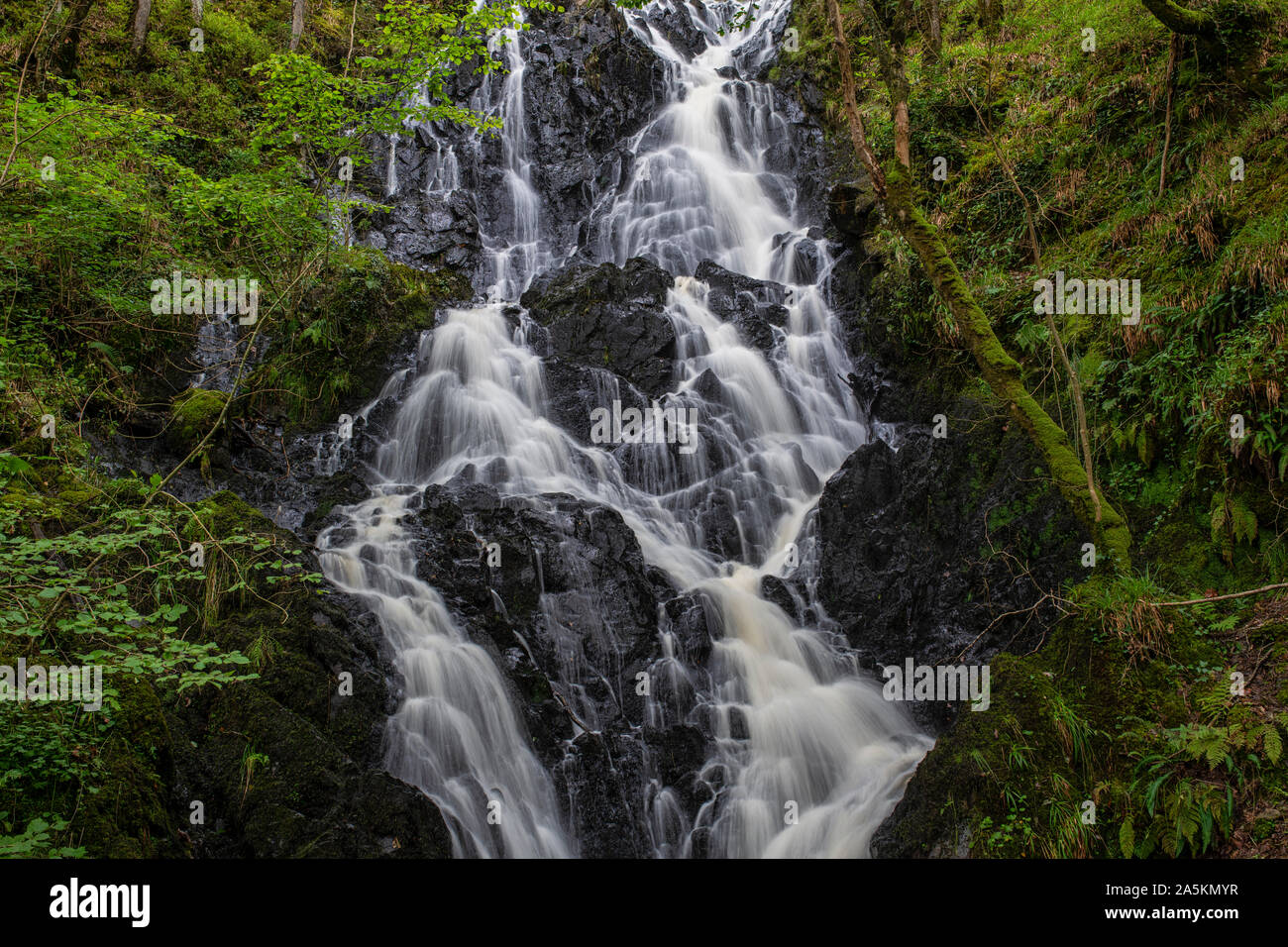 Pulhowan brennen Wasserfall im Wald von Cree Nature Reserve, Newton Stewart, Dumfries und Galloway, Schottland Stockfoto