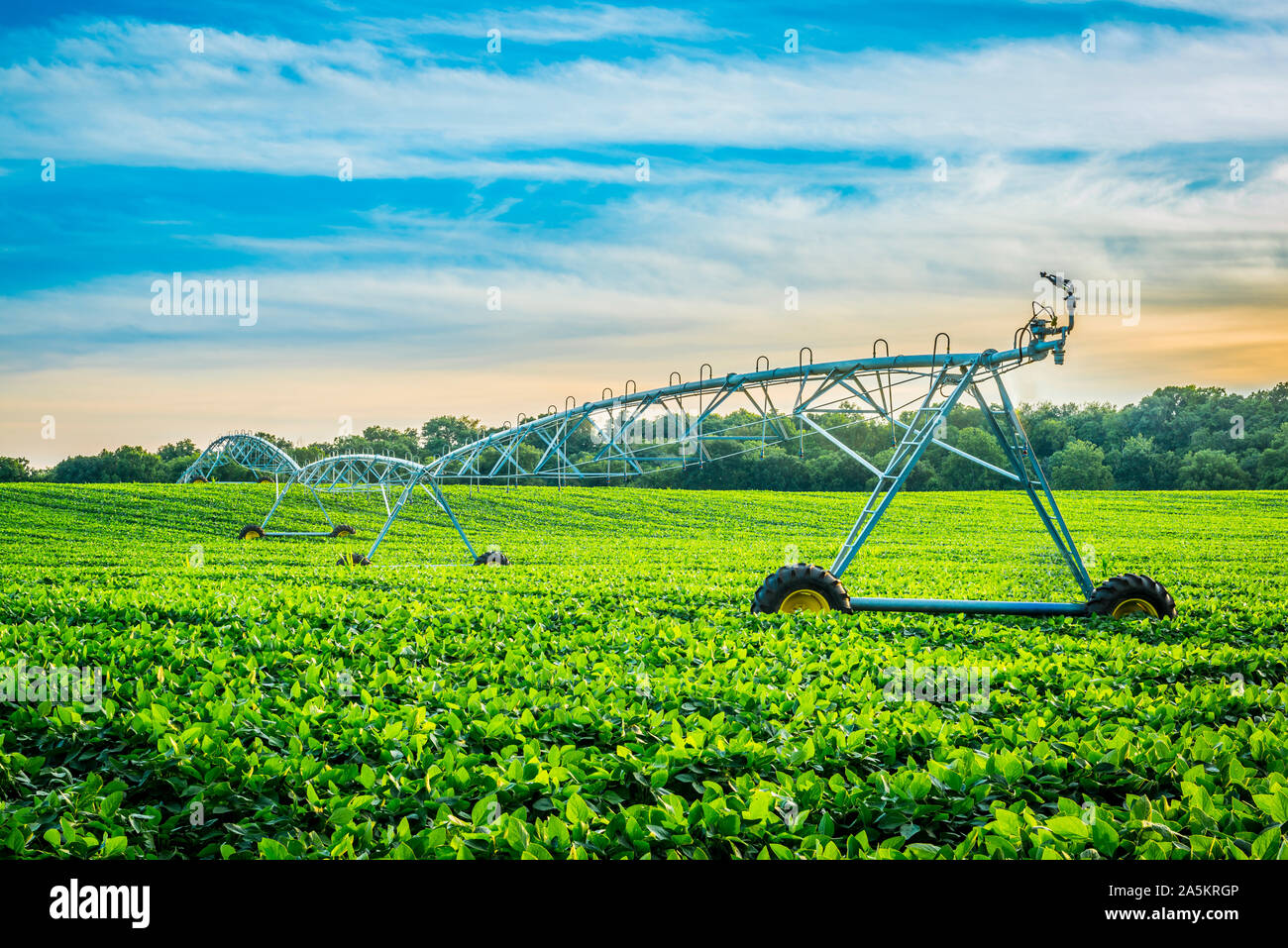 Das Bewässerungssystem bei Sonnenuntergang. Stockfoto